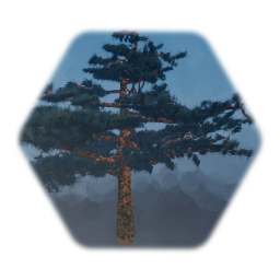 Tree, Cedar