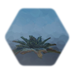 Tropical Plant