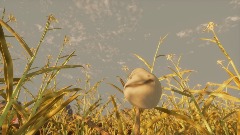 *(Unfinished Game)