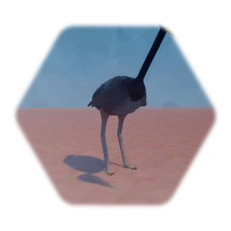 Ostrich
