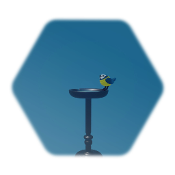 Bird Bath and Blue Tit