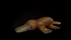 The PLATYPUS