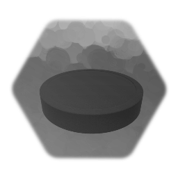 Hockey Puck