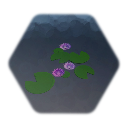 Water Lilies