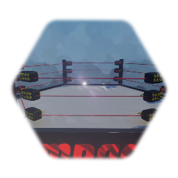 <term>Toltal nonstop action wrestling 6 side ring