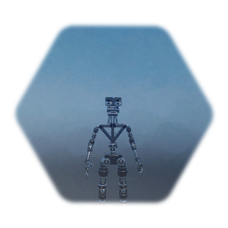 Endoskeleton 01