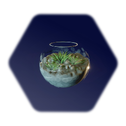 Terrarium Bowl with Succulents