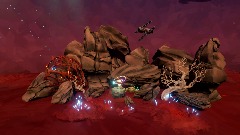 Sesja społeczności