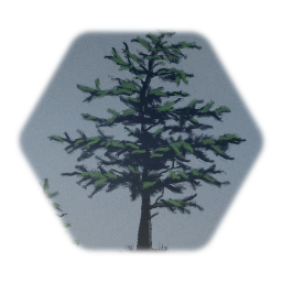 2D  Two Small Hemlock Trees