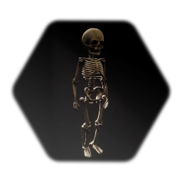 Toddler skeleton