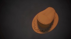Wild west hat