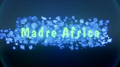 Madre Africa