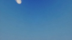 A screenshot taken in Dreams. 7 of 30.