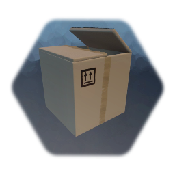 Cardboard Box