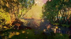 Forest walk Great lakes