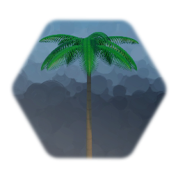 Palm Tree