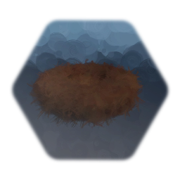 Birds Nest