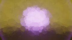 The florest of midas