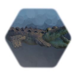 Crocodile