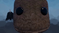 Sackboy animation test
