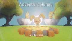 Adventure Bunny