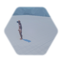 Player fps animation Test