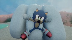 Torture Sonic