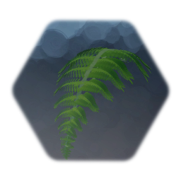 Fern Leaf
