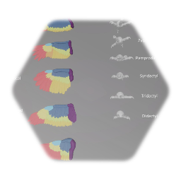 Avian Wings and Feet