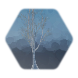 Birch Tree