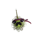 AstroBandit17