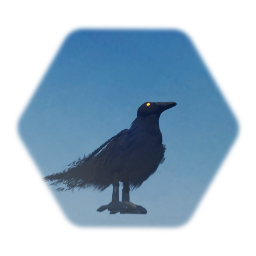 Raven - Basic