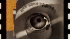 Social Metamediamorphosis