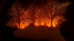 Bush fire