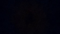 Silly lil' showcase for Catnap!