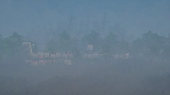 Pine forest (puppet) ( level 12)