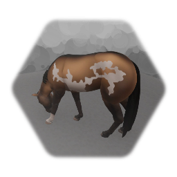 Realistic Horses - American Paint 2