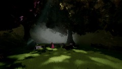 Сцена. Лес Сердио 1