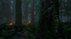 Nighttime Forest Loop