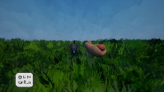 Dog eats hot dog