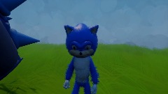 SANIC DE HEDGEDOG