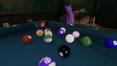 Beech Pool with Numbered Balls and a Kitty in the Way