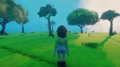 Forest walk
