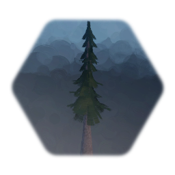 Pine Tree 2