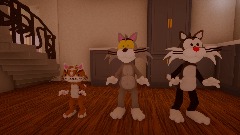 Remix of Nature Park Sun