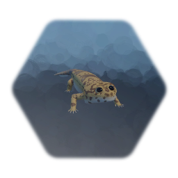 Leopard Gecko | Gekyume AKA Mr. Lizard