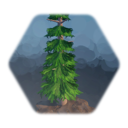 Pine