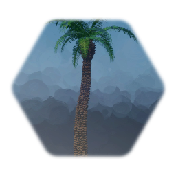 Palm tree