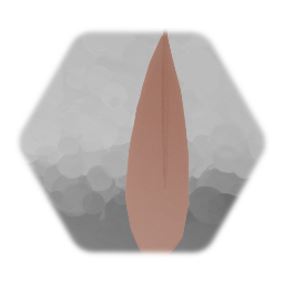 Secondary wing feather