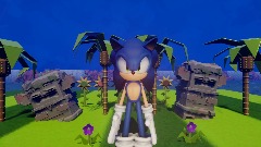 Sonic Becoming Canny